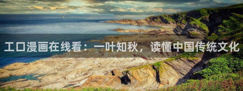 漫蛙代码：工口漫画在线看：一叶知秋，读懂中国传统文化