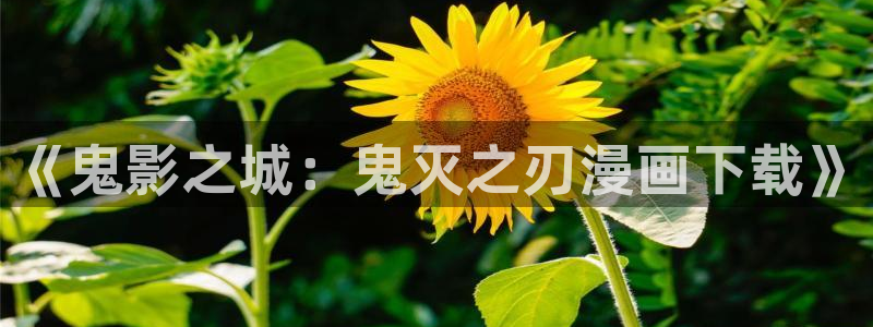 www.漫蛙漫画com.：《鬼影之城：鬼灭之刃漫画下载》