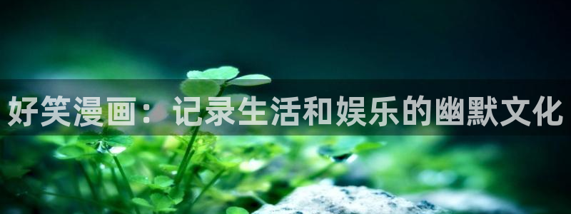 漫蛙2飞翔下载：好笑漫画：记录生活和娱乐的幽默文化