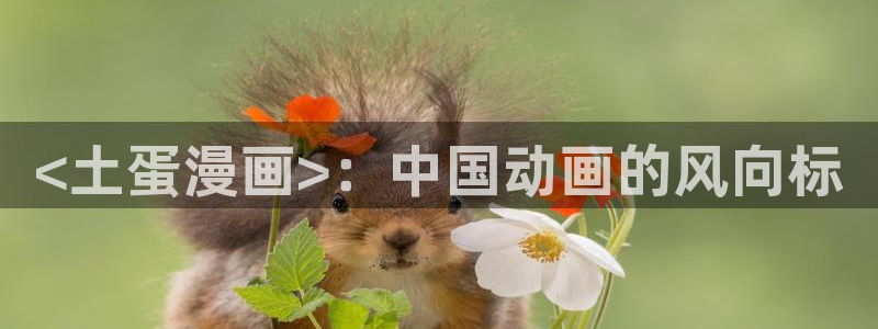 漫蛙z：<土蛋漫画>：中国动画的风向标
