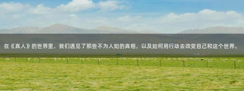 四维下载站漫蛙2