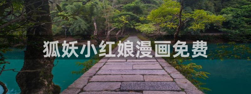 漫蛙漫画(网页版免费)