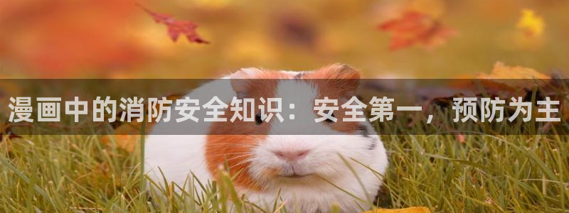漫蛙下载链接正版