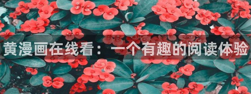 漫蛙bomtoon