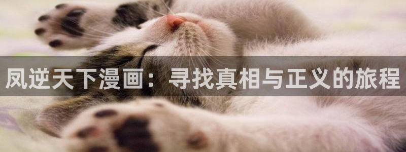 漫蛙软件下载
