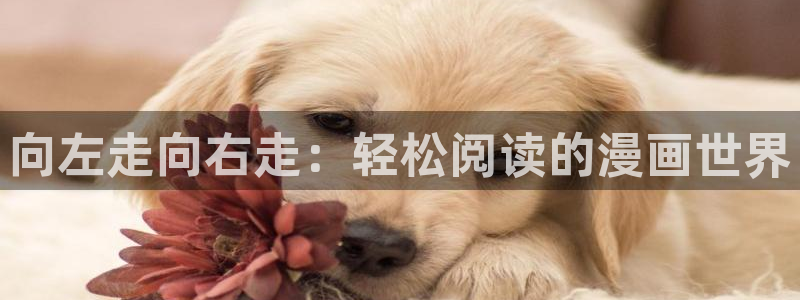漫蛙在线看漫画：向左走向右走：轻松阅读的漫画世界