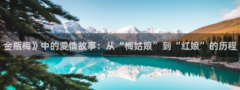 逆观光漫蛙：金瓶梅》中的爱情故事：从“梅姑娘”到“红娘”的历程